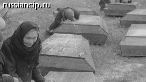 Ролики Луганская Народная Республика. (Без срока давности. 3-минутные ролики по регионам №3, 2025)