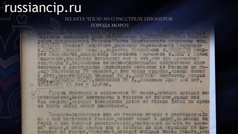 Ролики Ростовская область. (Без срока давности. 3-минутные ролики по регионам №9, 2025)