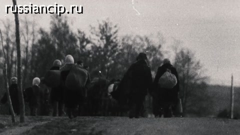 Ролики Воронежская область. (Без срока давности. 3-минутные ролики по регионам №17, 2025)