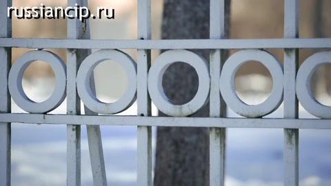 Документальный фильм Из объятий смерти. Ленинградская область. (Без срока давности №9, 2022)