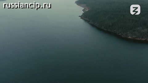 Фильм (Добровольцы №1, 2021)