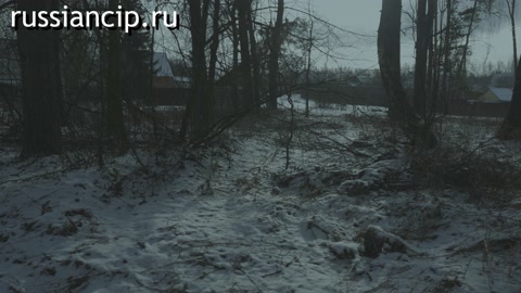 Документальный фильм Каракурт. (2025)