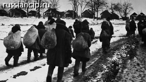 Документальный фильм На линии огня. Ленинградская область. (Без срока давности №10, 30.04.2023)