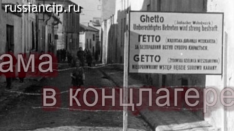 Фильм "А мне уже плакать нечем", Мультстудия "Оранжевый кактус". (2024)