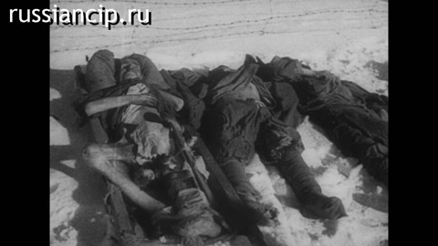 Документальный фильм Кинодокументы о зверствах немецко-фашистских захватчиков. (1945)