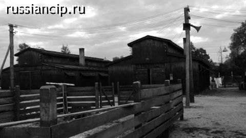 Документальный фильм Нюрнберг. Свидетели. (2016)