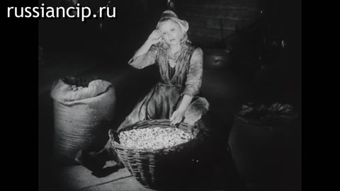 Художественный фильм Золушка. (1947)