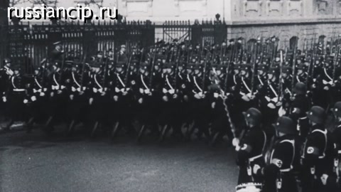 Документальный фильм Крысиные тропы в Новый Свет. (Без срока давности №35, 2025)